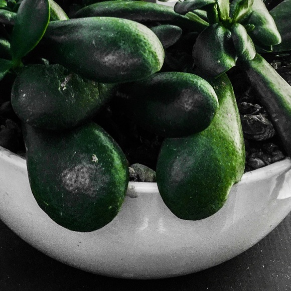 Dresses - Picture 1 of 1